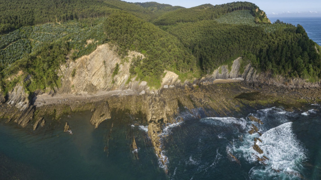 BLACK FLYSCH