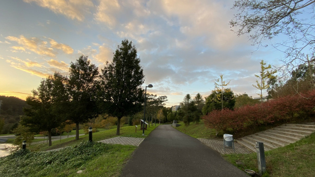 Paseo hasta la universidad