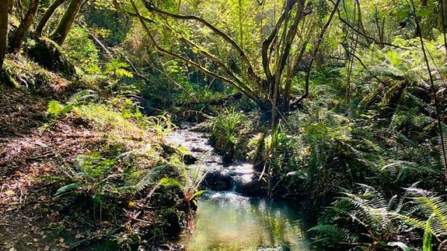 Naturaleza en Uribe