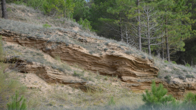 FOSSIL DUNES