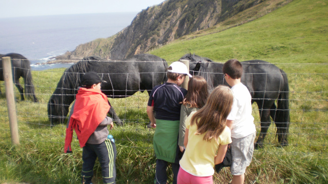 The Foral Farm - Bizkaia Wildlife Recovery Center